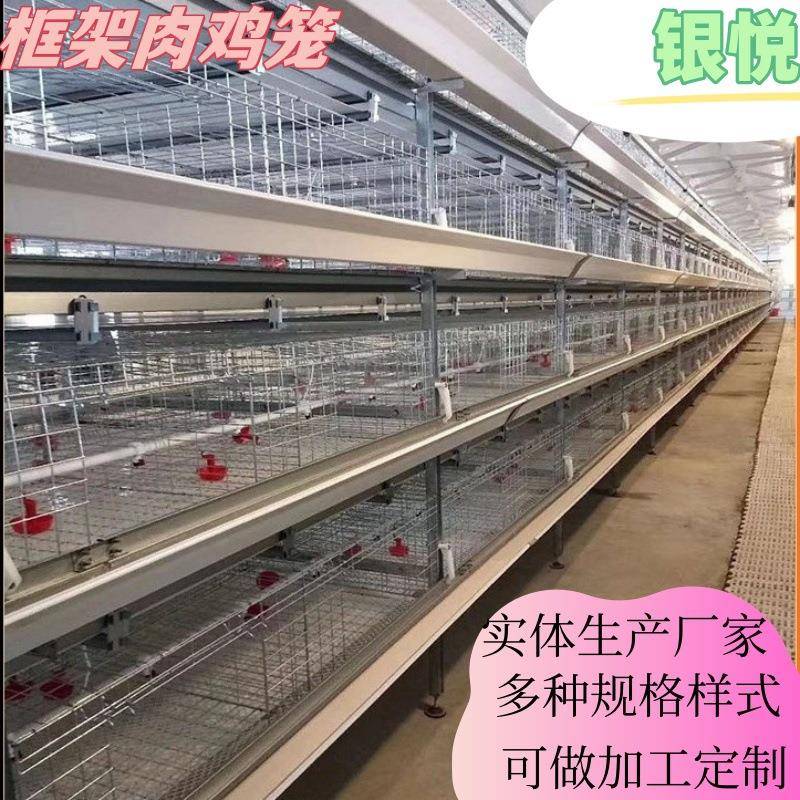 全自动框架肉鸡笼半自动立体鸡舍镀锌自动除养殖养鸡可供国内外