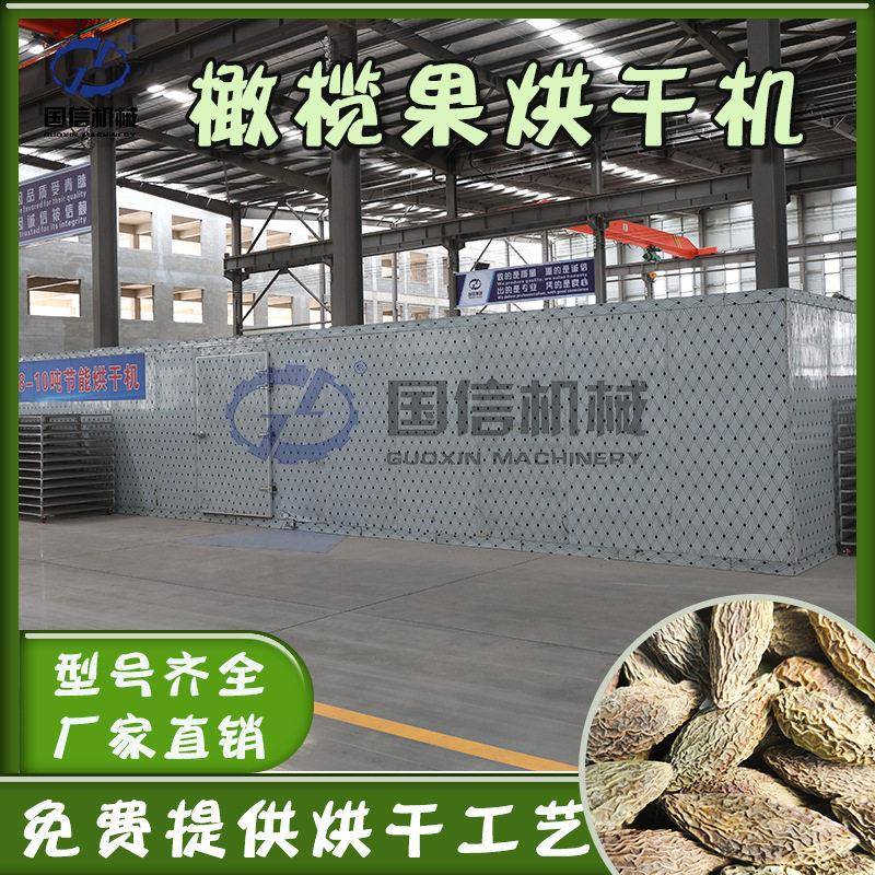 橄榄果烘干机青子橄榄子甘榄烧生物烘干房大型青果烘干设备