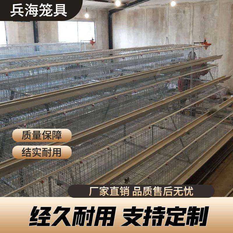 蛋鸡笼养殖设备热镀锌全自动鸡笼阶梯式养鸡设备自动化层叠养鸡笼,畜牧/养殖物资,特种养殖设备,淘宝优惠券,粉丝福利购,淘宝优惠卷