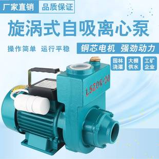 家直供家用自清水泵高压泵V增压抽62051水吸机水厂离心泵塔旋涡泵