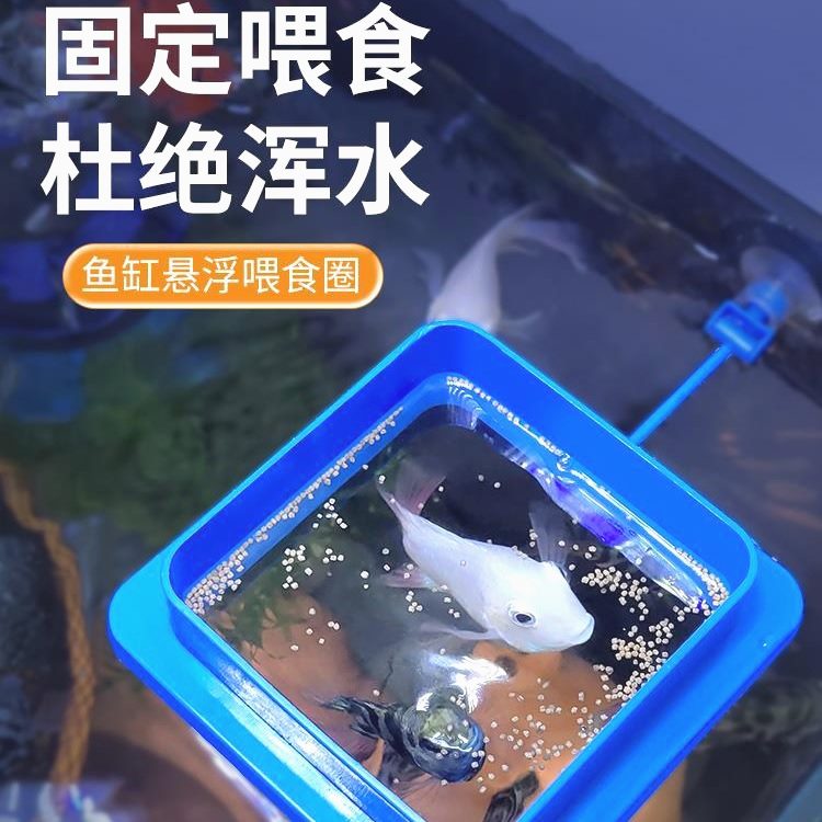 鱼缸喂食器漂浮喂食圈小型鱼孔雀鱼喂鱼神器防飘散鱼食饲料投食器