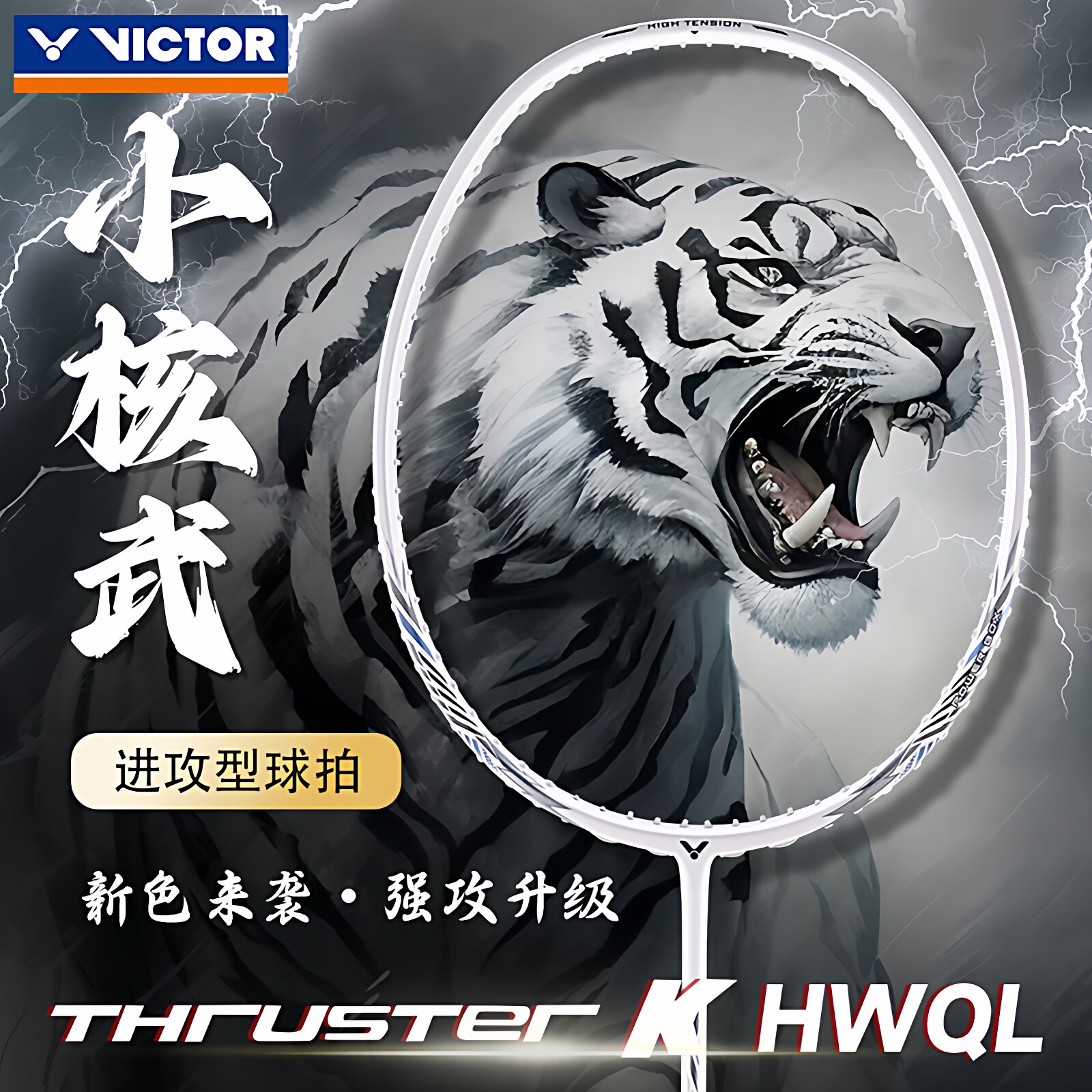 VICTOR胜利羽毛球拍TK-HWQL图片