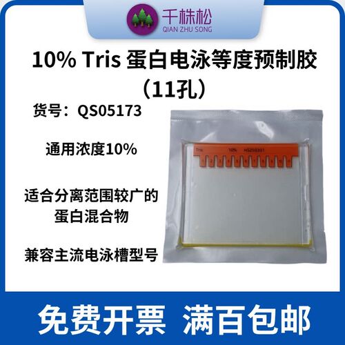速发10% Tris 甘氨酸蛋白电泳等度预制胶(11孔)