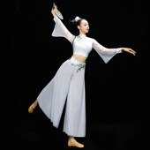 速发古典舞扇出舞飘逸中国风仙艺考演子舞台服蹈服装 独舞套装