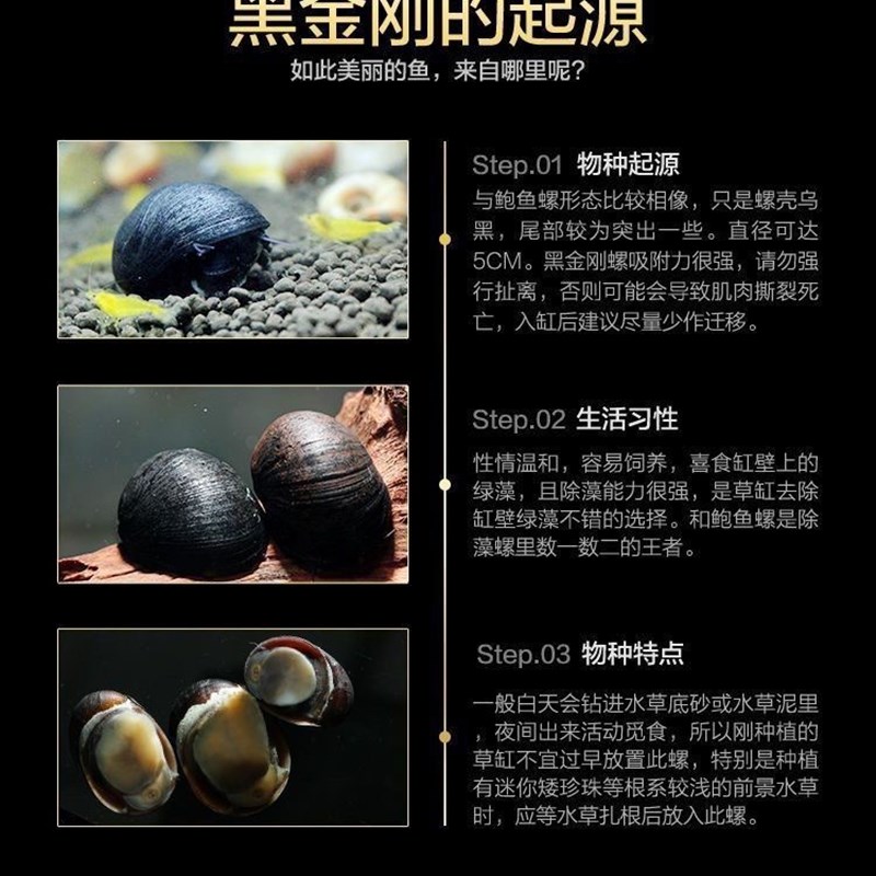 热销黑金刚螺除藻小能手鱼缸水族箱除绿苔青苔去除剂净化水质