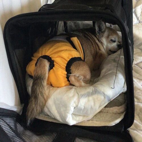 热销激素的
