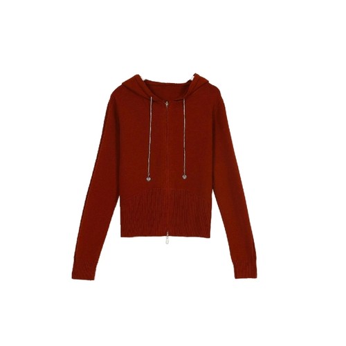 【甜甜Q专享】【面料真心好】拍完无啦～高度安迪绒双拉链连帽衫