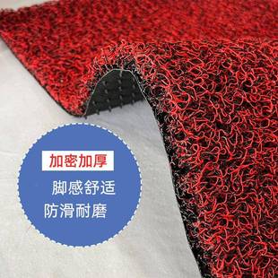 厚丝圈脚垫202204垫可裁剪家用入户门防滑进地地毯门汽车通用垫加