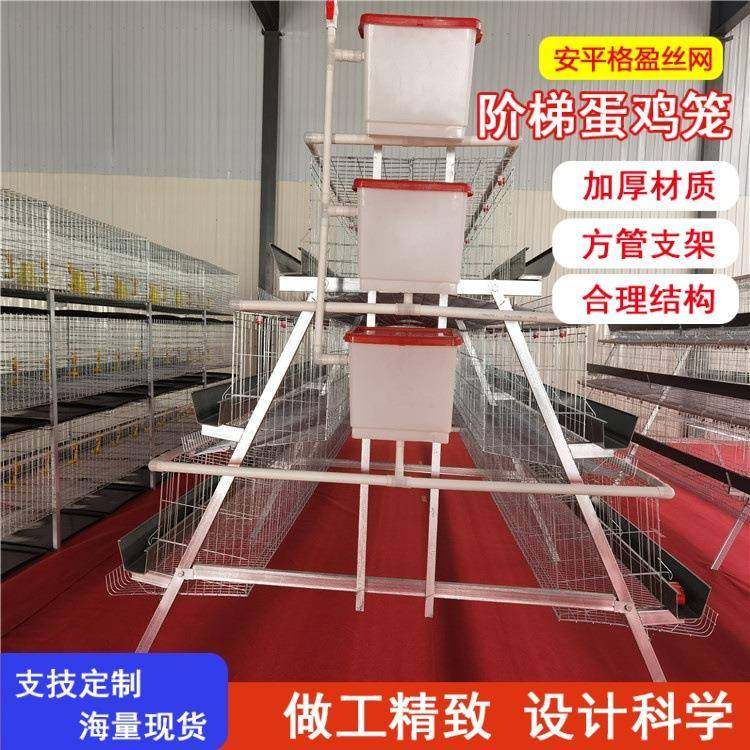 阶梯蛋鸡笼养殖设备三四层镀锌层叠式鸡笼自动喂料清粪源头厂家,畜牧/养殖物资,特种养殖设备,淘宝优惠券,粉丝福利购,淘宝优惠卷