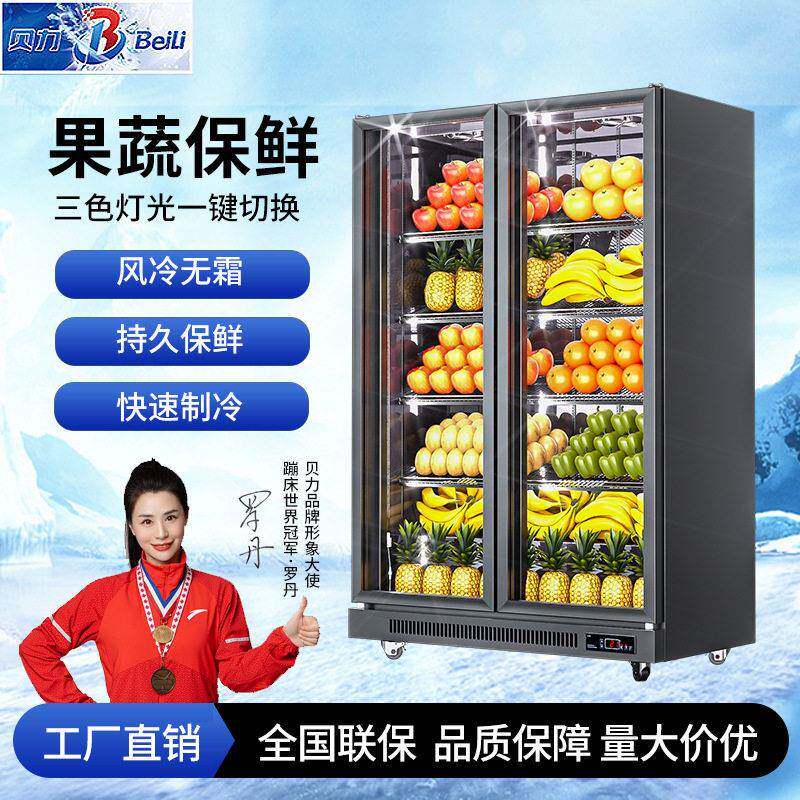 水果冷藏展示柜商用冰柜立式双门保鲜柜蔬菜冷柜跨境冰箱厂家