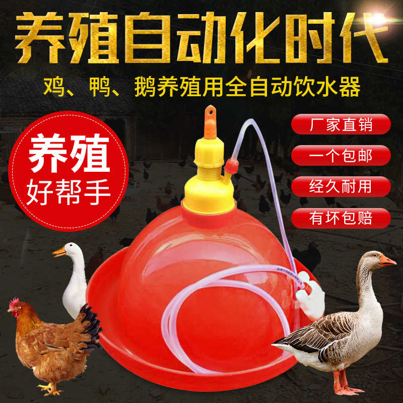 加厚普拉松养鸭鹅鸡用自动饮水器喂水器加水壶养鸡养殖设备鸡用