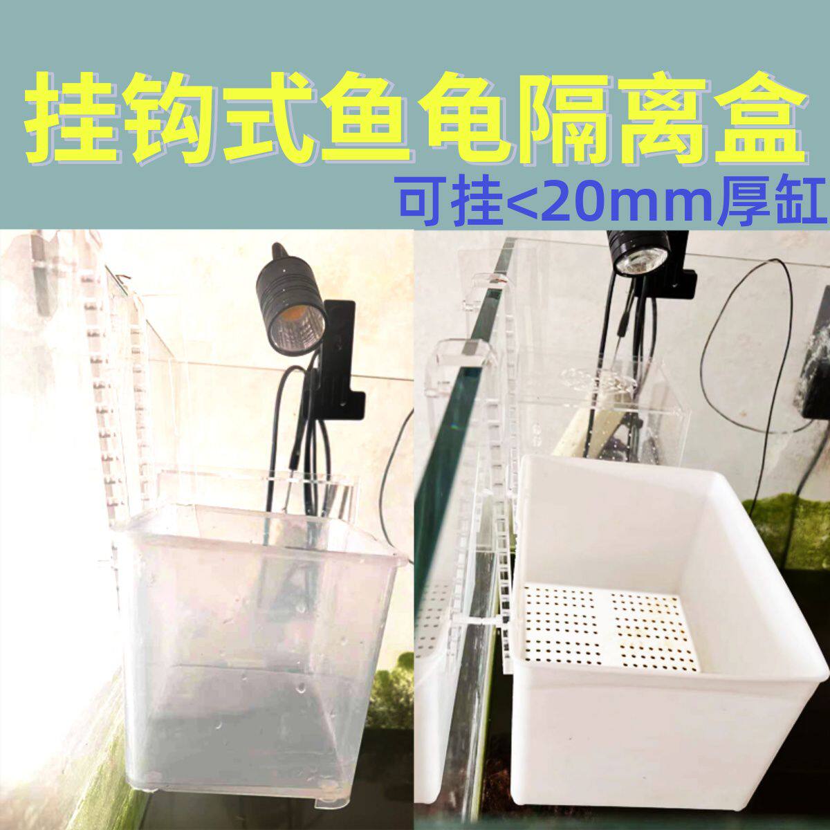 挂钩式隔离盒黑白发色盒子带盖乌龟缸生态饲养盒病鱼龟苗套缸藻盒
