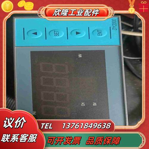 东辉大延仪表DY2000 议价议价