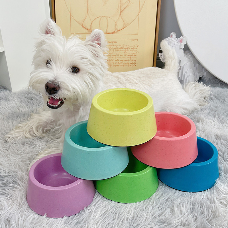 狗碗猫碗食盆狗盆宠物饭碗水碗防打翻防滑小狗饮水狗狗粮盆流浪猫