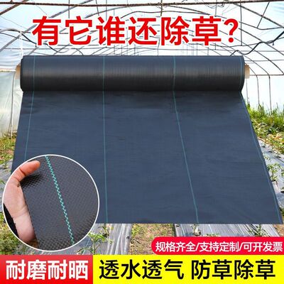 德国品质进口Pe新防草布寸草不生除草布抗老化果园遮草盖草布农用