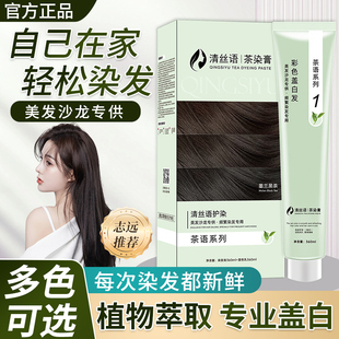 清丝语茶染膏护染霜植物成分染发剂纯染发膏双支抖音同款志远同款