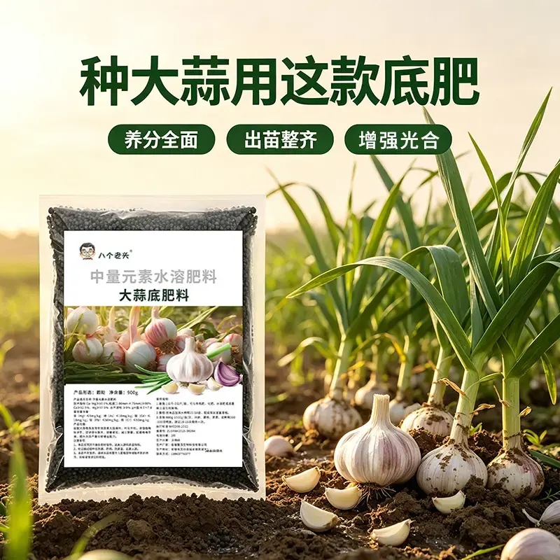 八个老头大蒜底肥料壮根壮苗营养