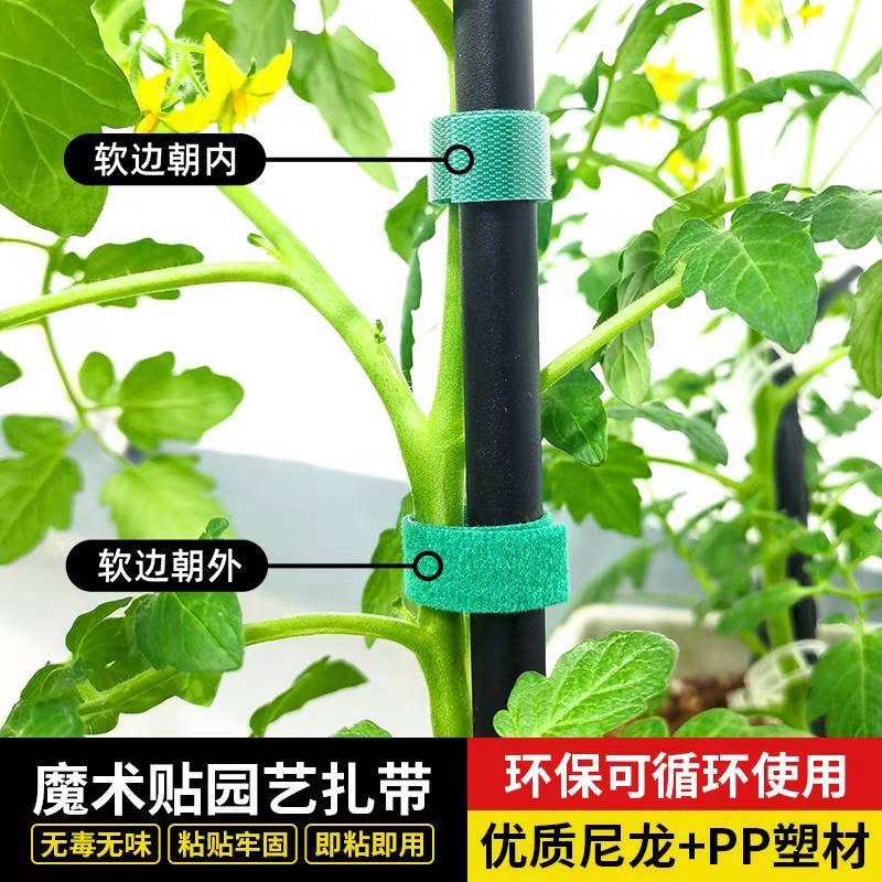 绿植扎带捆绑绿色魔术贴粘扣带不伤植物支撑固定热植绑带植物捆绑