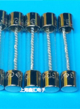 LF 进口力特6*30/6*32玻璃保险丝管 T2A 250V 2A/250VP 慢熔断313