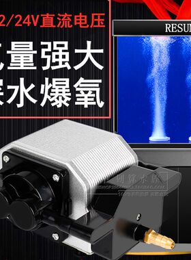 日生氧气泵DC30车载12V直流氧气泵增氧泵静音养鱼气泵大气量16W