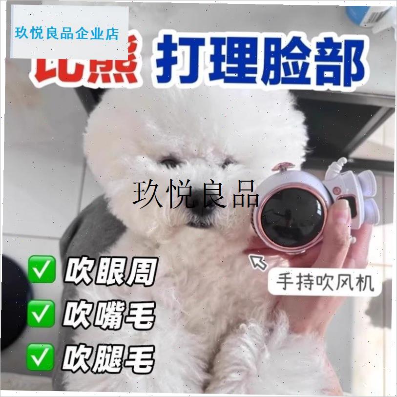 狗狗专用小吹风机比熊泰迪小型犬面部迷你吹毛机宠物Y洗澡吹干神,