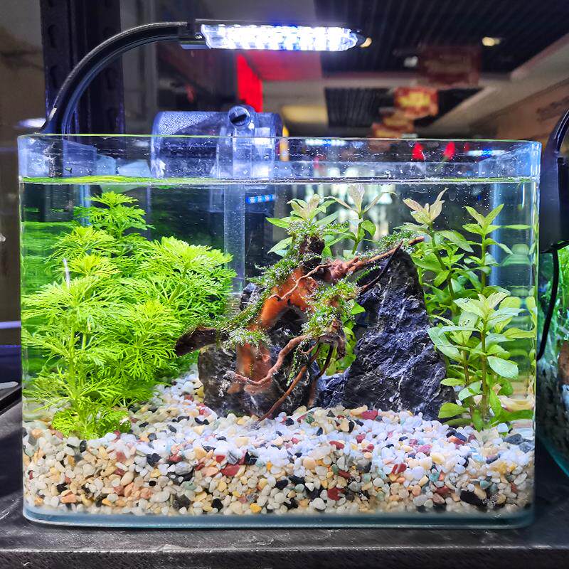 鱼缸底砂造景沙石水草铺r底摆件生态天然雨花石夜光石鱼缸造景全