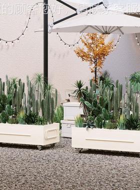 户外露营防花箱高颜值中古可种绿06299植腐奶咖茶啡店集营市地花