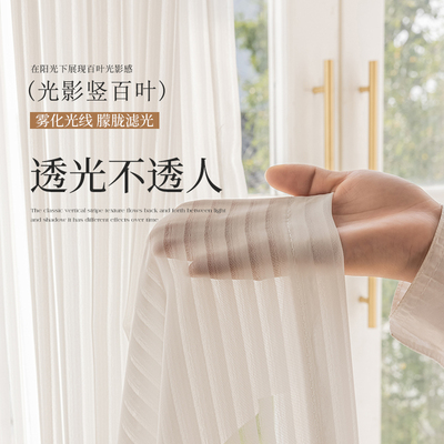 纱帘竖百叶窗帘白纱遮阳透光不透人阳台卧室客厅窗帘绍兴柯桥窗纱
