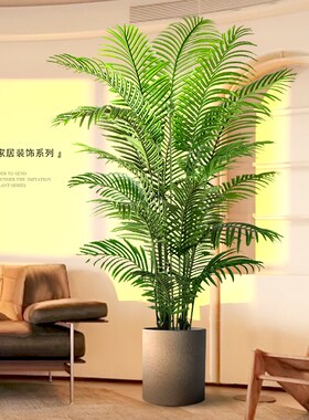 客厅大型落地摆件电m视柜旁边装饰品室内假植物盆栽散尾葵仿真绿