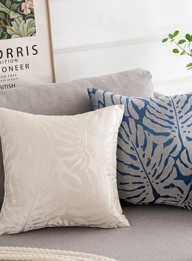 抱枕套不含芯沙发客厅白色靠枕床头大I靠背垫蓝色靠垫套双面花纹