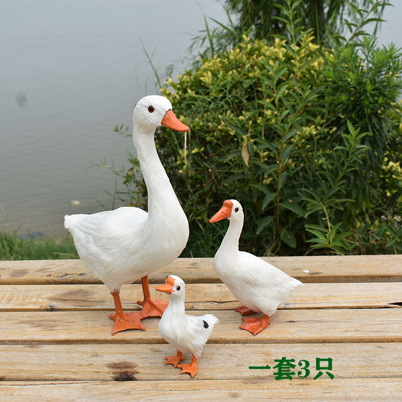 真羽毛仿真鹅大白鹅鸡鸭鹅动物z模型家禽标本庭院园林摆件拍摄道