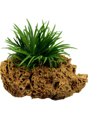 上水石原石假山盆景石槽 菖蒲附石 石头花盆 吸水石花盆 石斛花盆