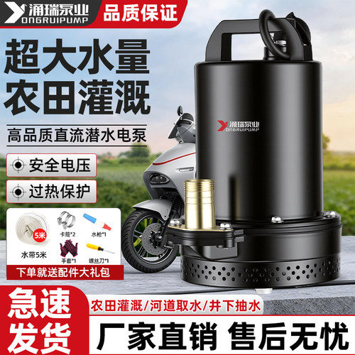 12V24V48/60V72V电动车电瓶小型直流潜水泵农用抽水高扬程大流量