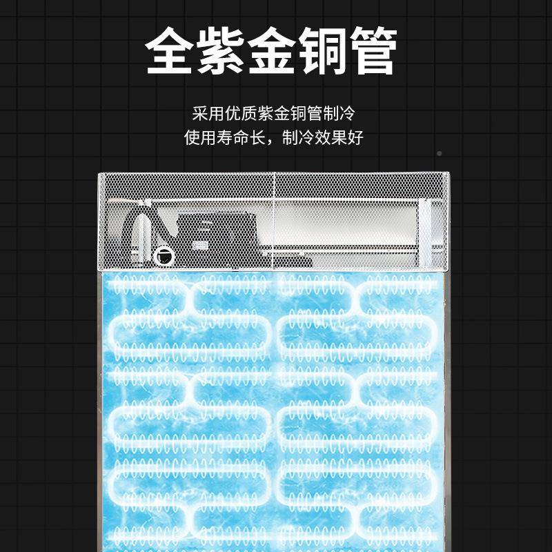 双门冷藏柜展柜水蔬菜T保鲜果柜商用冰柜玻璃门SLN-ZCCOX示22