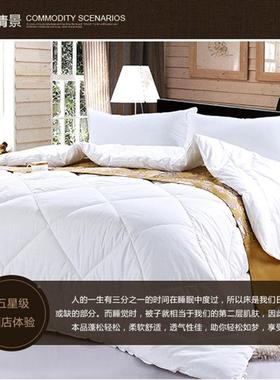 白色纯人wd1903棉被被单酒店馆床上用宾品全棉被芯秋冬双加厚子