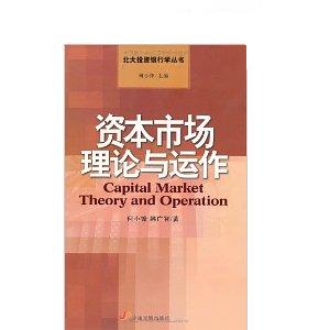 【正版书籍】资本市场理论与运作何小锋韩广智中国发展出版社