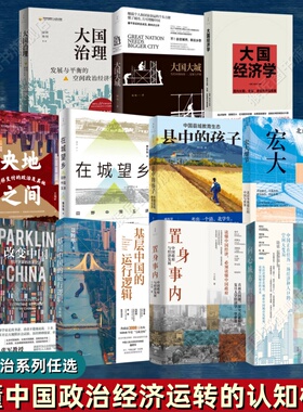 【中国之治系列全11册】基层中国的运行逻辑+置身事内+宏大细节+县中的孩子+向心城市+大国经济学+大国大城+大国治理+在城望乡书籍