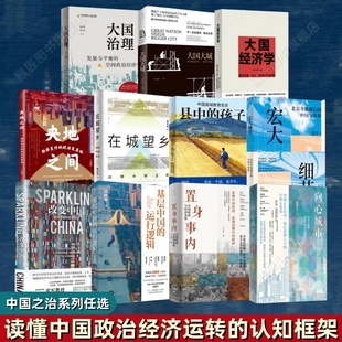【中国之治系列全11册】基层中国的运行逻辑+置身事内+宏大细节+县中的孩子+向心城市+大国经济学+大国大城+大国治理+在城望乡书籍