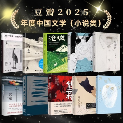 豆瓣2025年度中国文学小说类