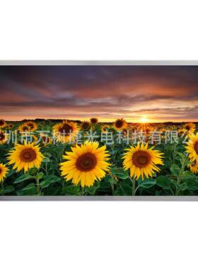 NL192108AC21-04NECNLT18.5inch FHD1920*1080工业液晶屏IPS WLED