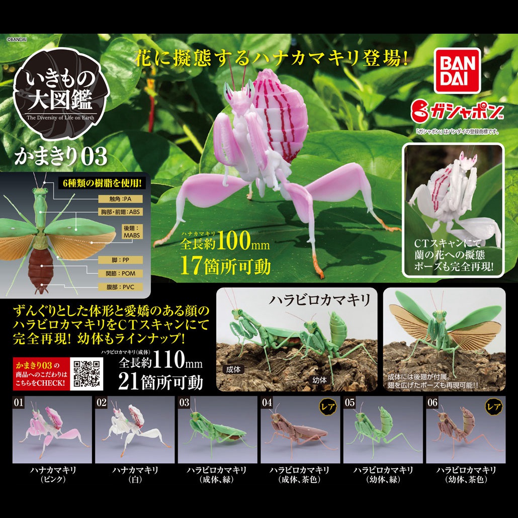 【木野日谷】预售  扭蛋生物大图鉴拼装兰花螳螂模型01大刀1枯叶