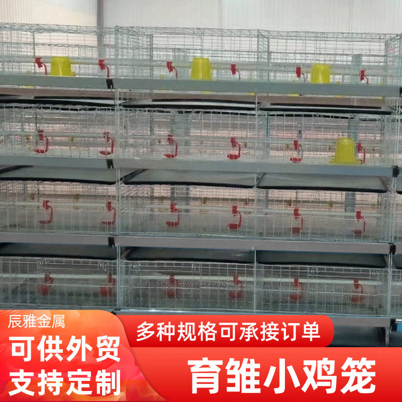 鸡舍养殖育雏鸡笼带粪鸡笼盘设备立式四层小鸡笼育雏层叠养鸡笼