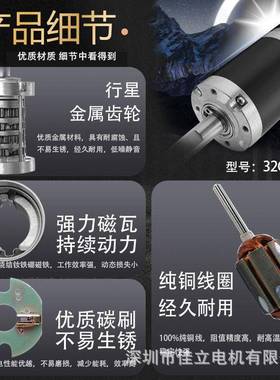 32GP31ZY行星齿轮直流4减速电机12v2低速大扭-RQX矩微v小型调速马