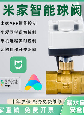 米家智能水阀电磁水阀适用于小米漏水自动关闭水阀电动球阀门开关