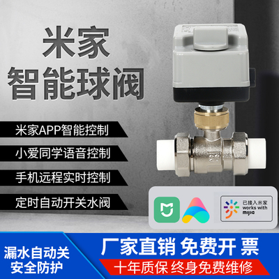 智能水阀PPR活接漏水自动关