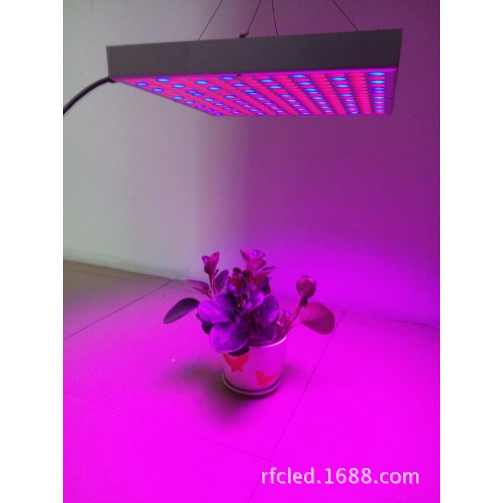 led植物灯22内RFC-45W5颗1545W植物ld灯全光谱eled面板室叶菜成长