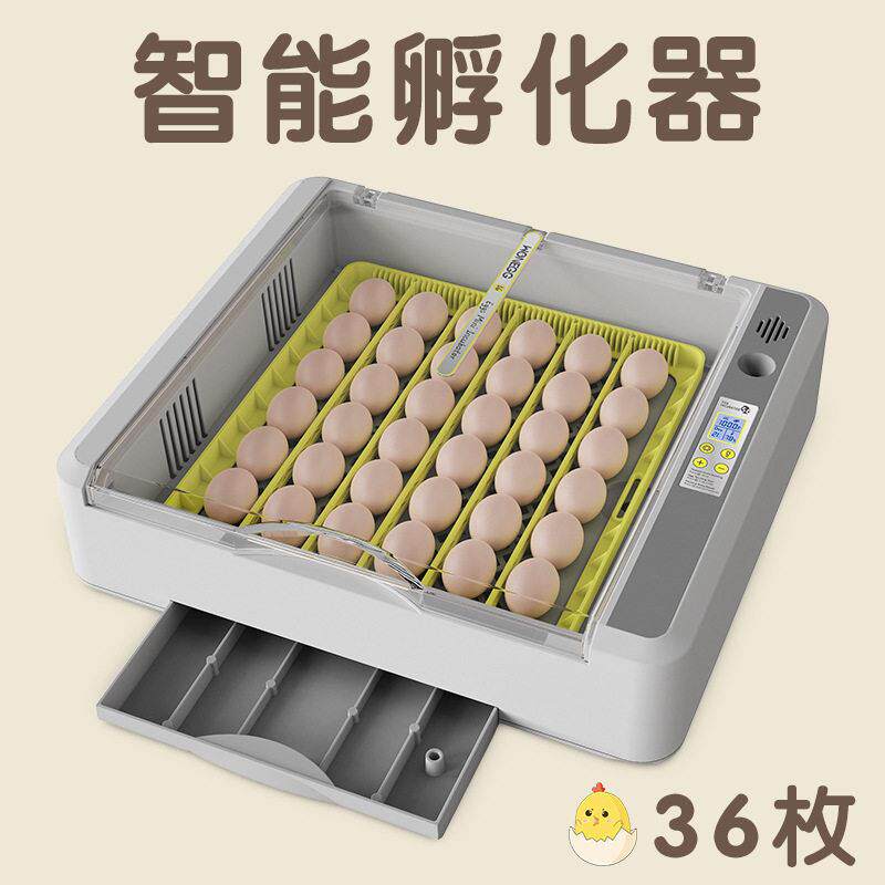 跨境家用孵化机芦丁鸡养殖孵蛋器设备家禽畜牧36枚鸡蛋智能孵化器