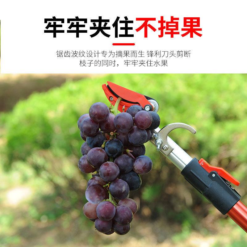 摘果剪枝修摘剪果神器高枝剪剪EVC高空伸缩高枝锯摘龙眼摘荔枝摘