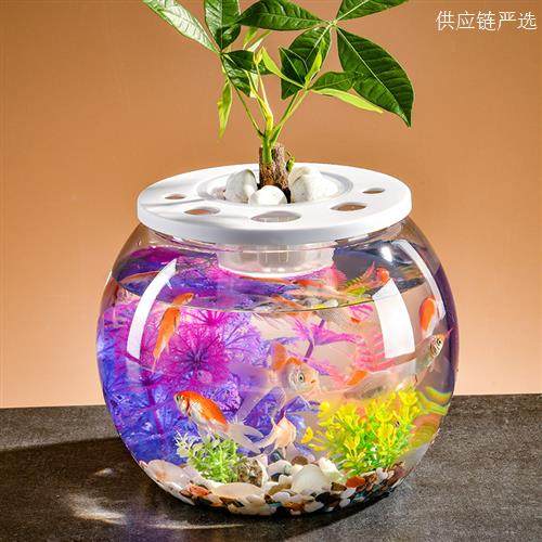 圆形带盖鱼缸微景观造景桌面乌龟缸家用小型防爆创意缸水培金鱼缸,宠物/宠物食品及用品,桌面缸,淘宝优惠券,粉丝福利购,淘宝优惠卷