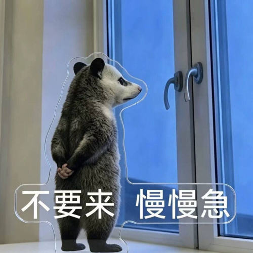 小红书爆款负鼠表情包亚克力立牌创意搞怪造型桌面装饰摆件送朋友